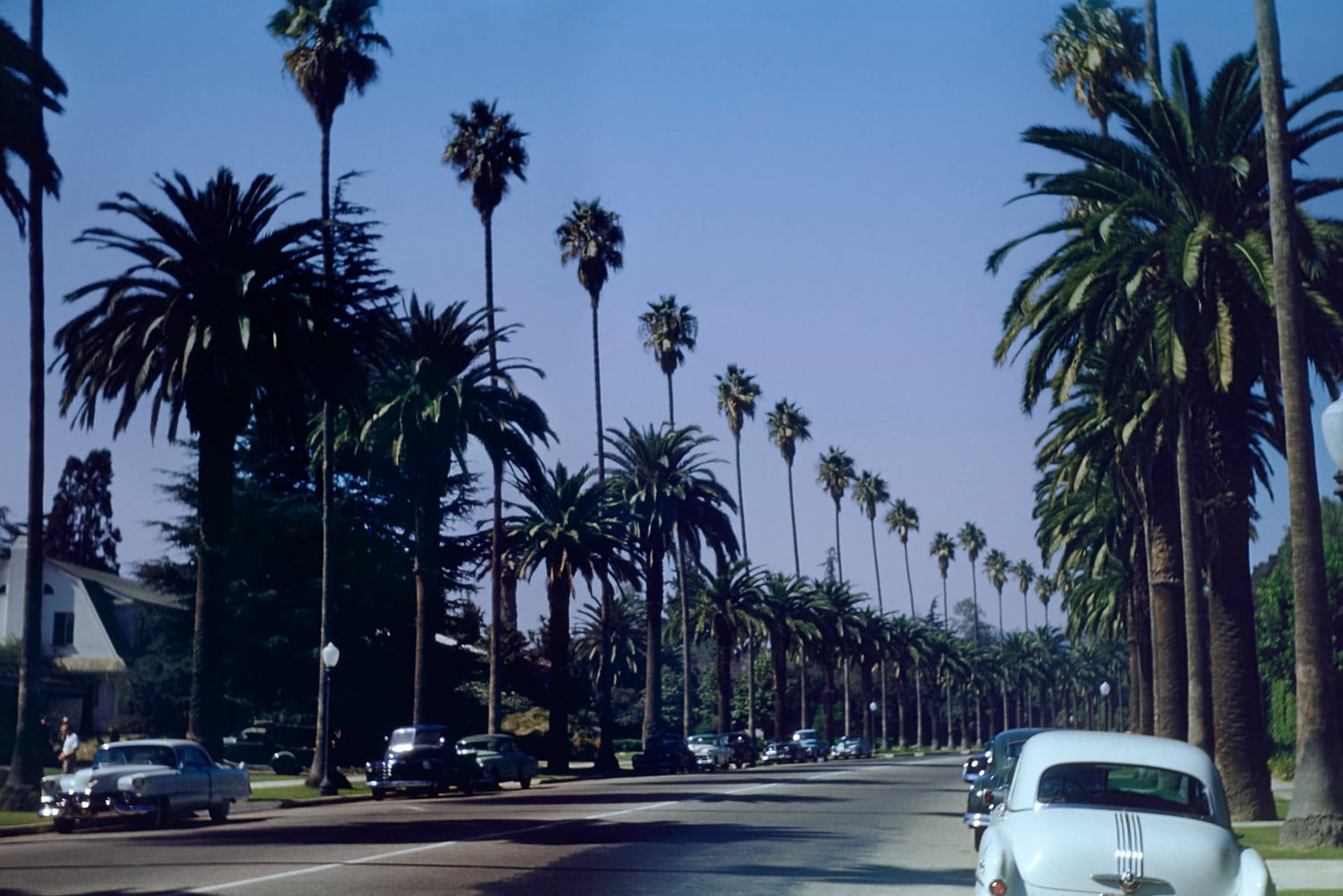 Beverly Drive