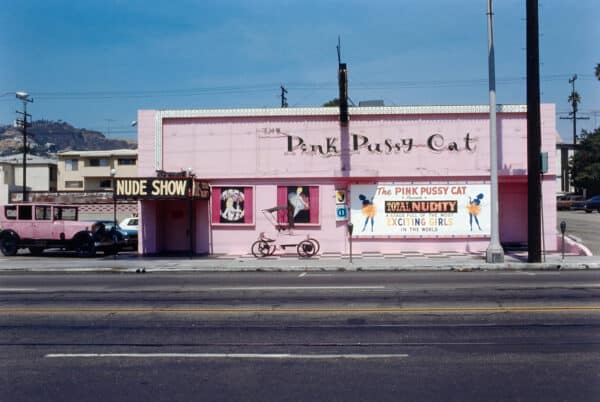 Pink Pussycat