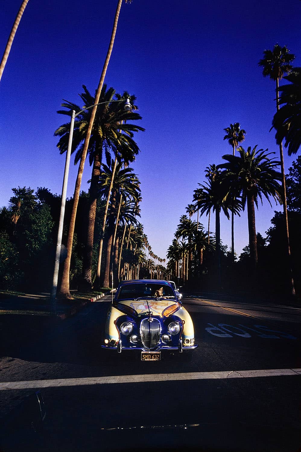 Stella Stevens in Beverly Hills 1960s